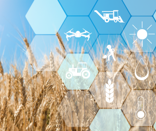 Precision Farming